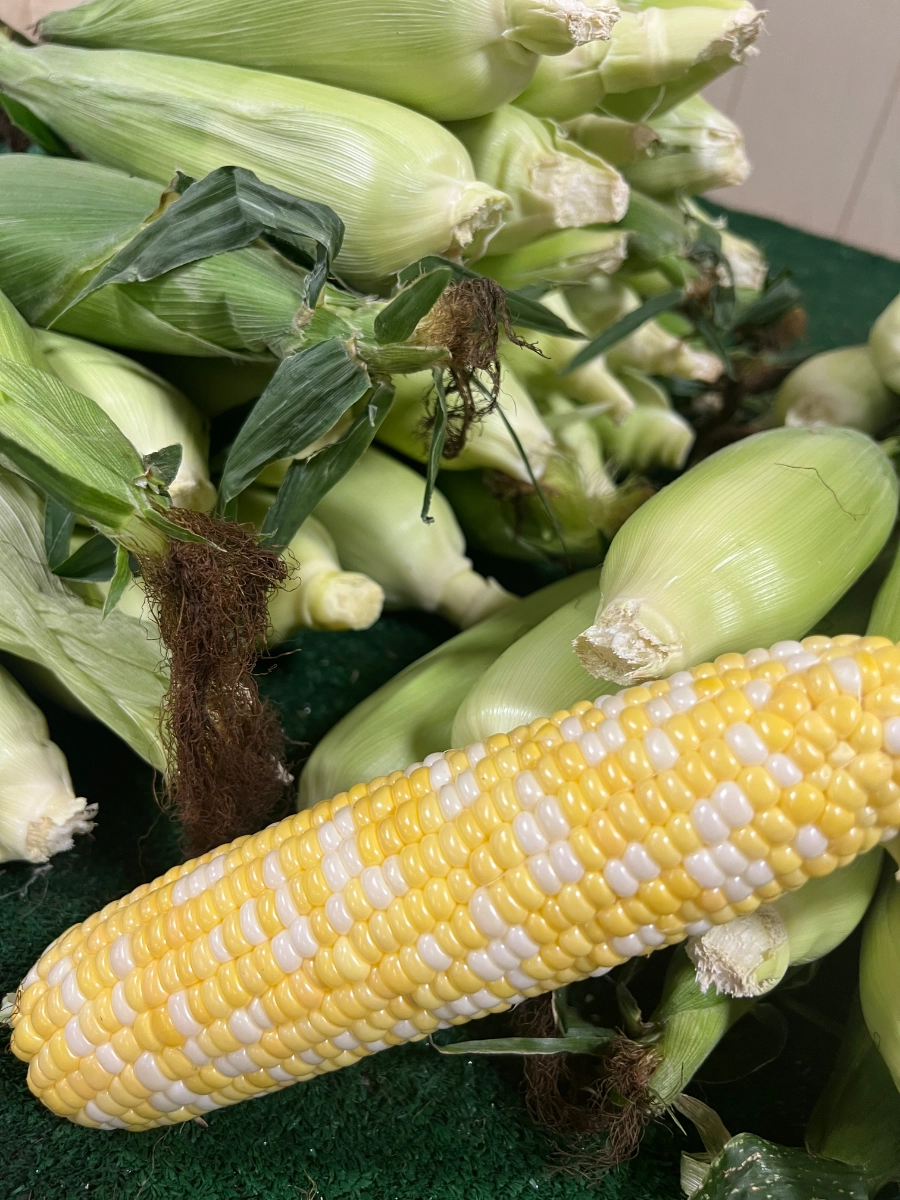 sweet-corn-no-spray