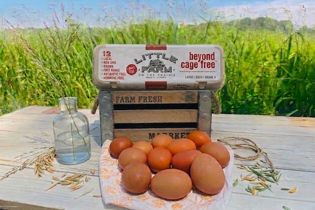 pasture-raised-nongmo-large-brown-eggs-