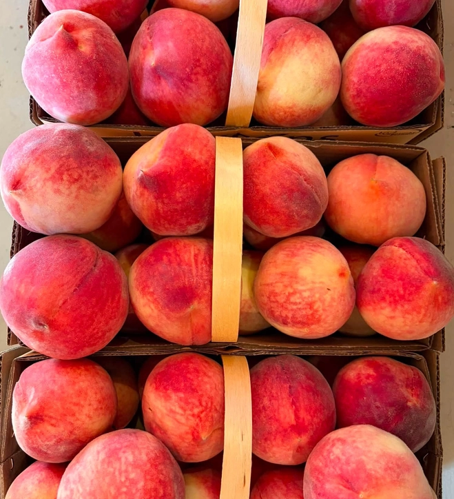 peaches-freestone-2-lbs-5