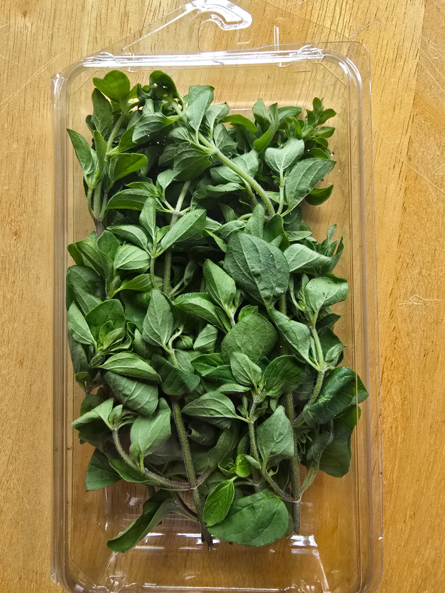 fresh-italian-oregano-4