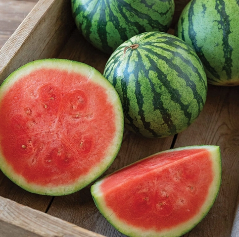 usda-certified-organic-mini-cantaloupe