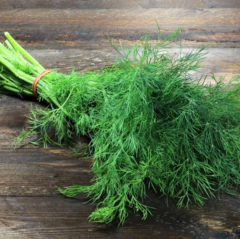 dill-bunch-10