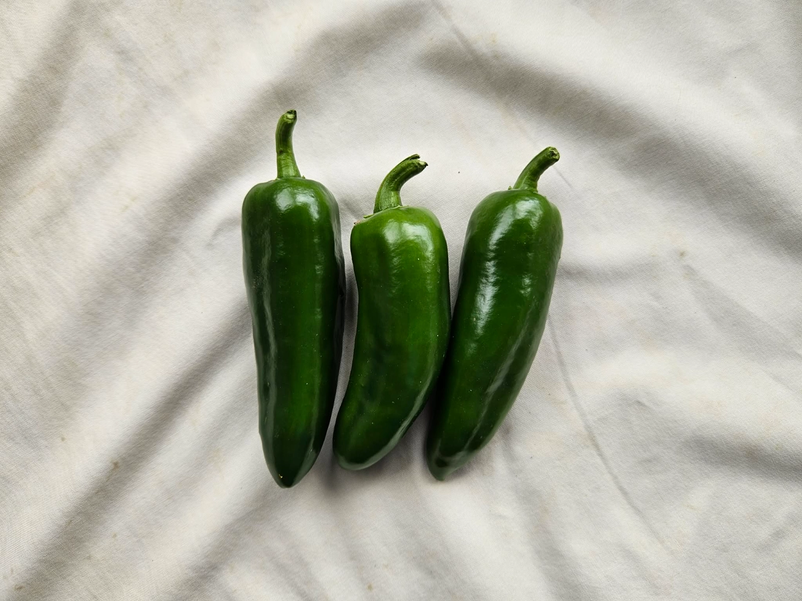 jumbo-jalapeno-peppers-3-count--2