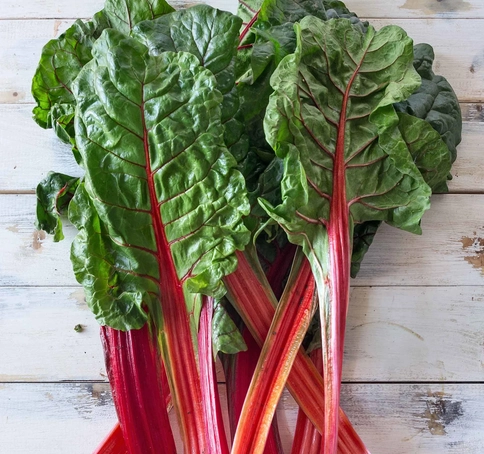 swiss-chard-bunch-9