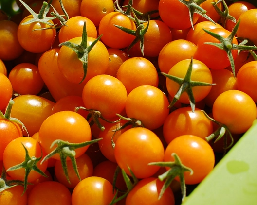 sungold-cherry-tomatoes-1-pint-7
