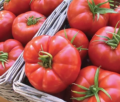beefsteak-tomatoes-2-lbs