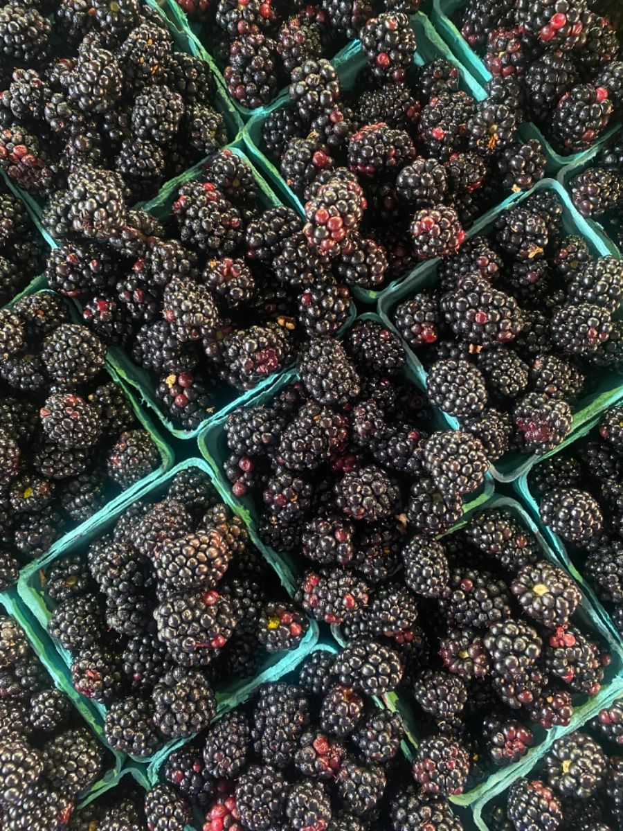 blackberries-1-pint--2