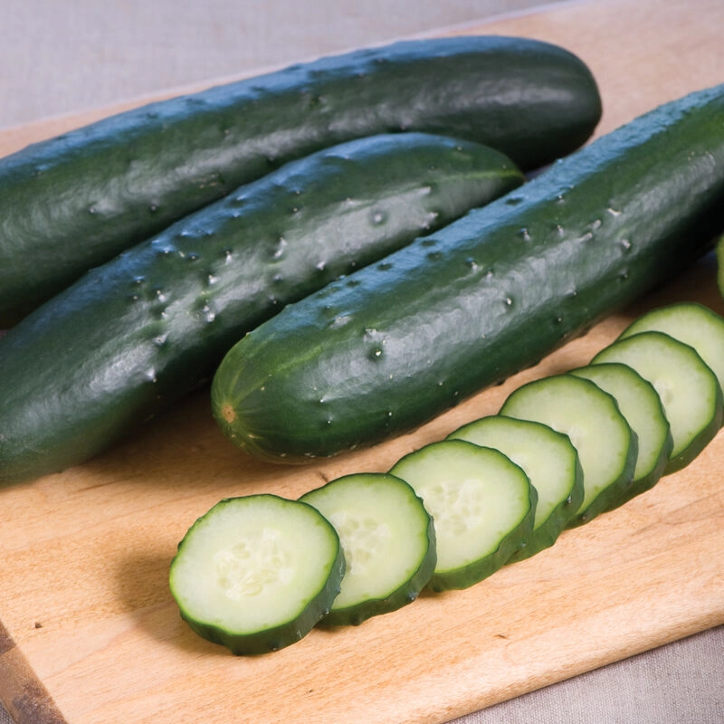 cucumber-slicing-certified-organic-