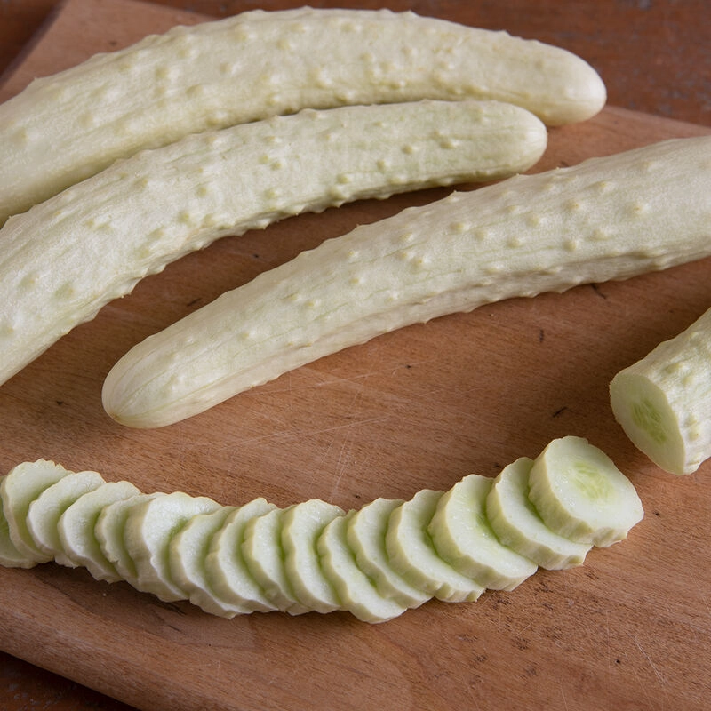 cucumber-white-japanese-certified-organic-