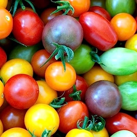 tomato-cherry-heirloom-mix-certified-organic-1-pint