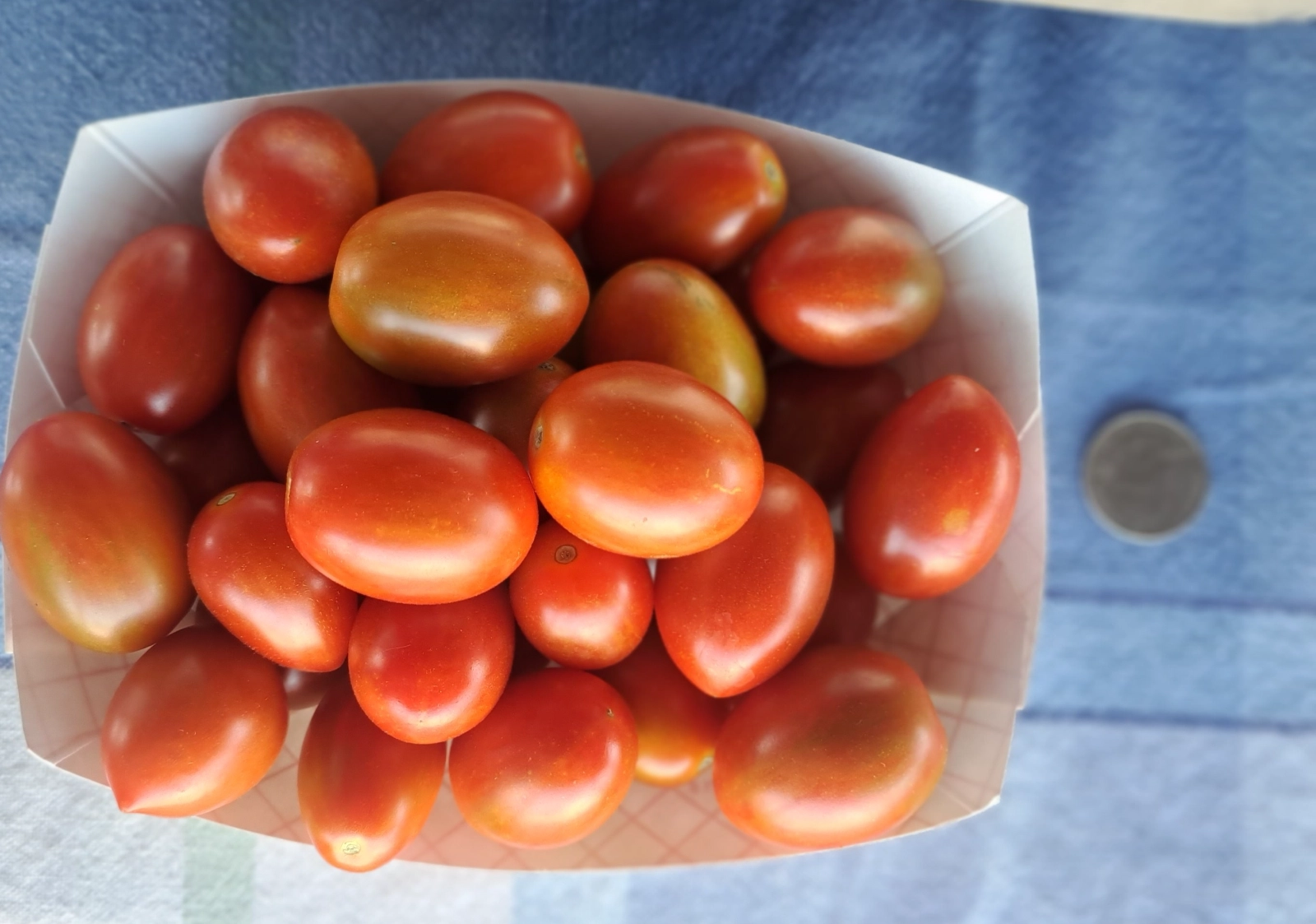 2-bite-sweet-prince-tomatoes