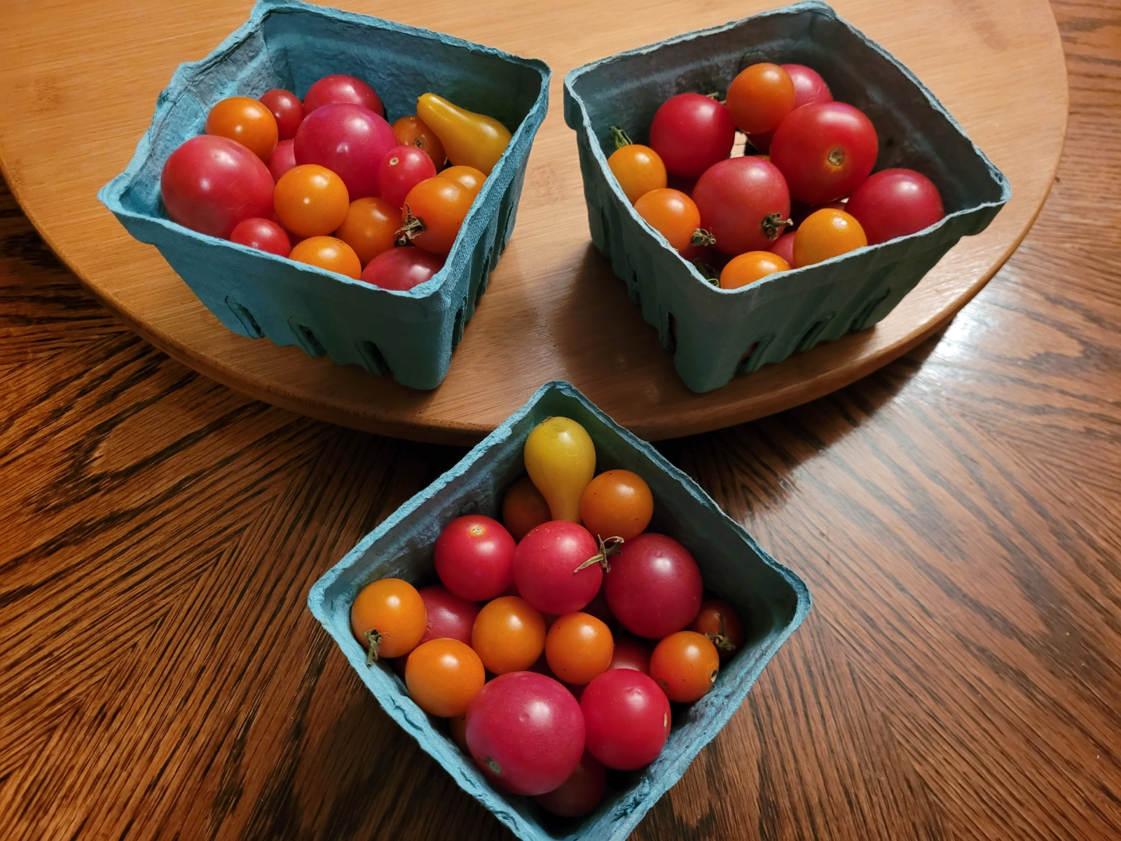 heirloom-cherry-tomatoes-14
