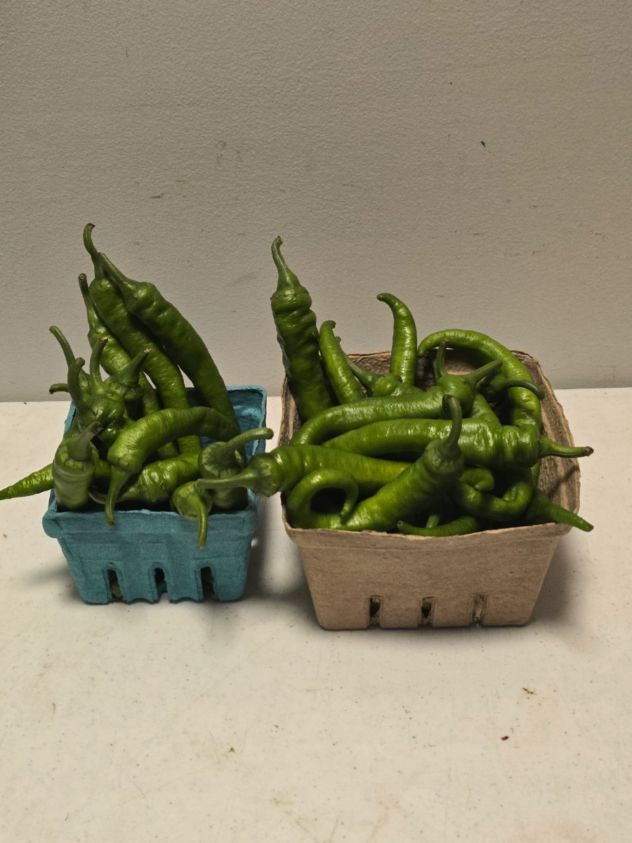 fresh-green-jimmy-nardello-peppers