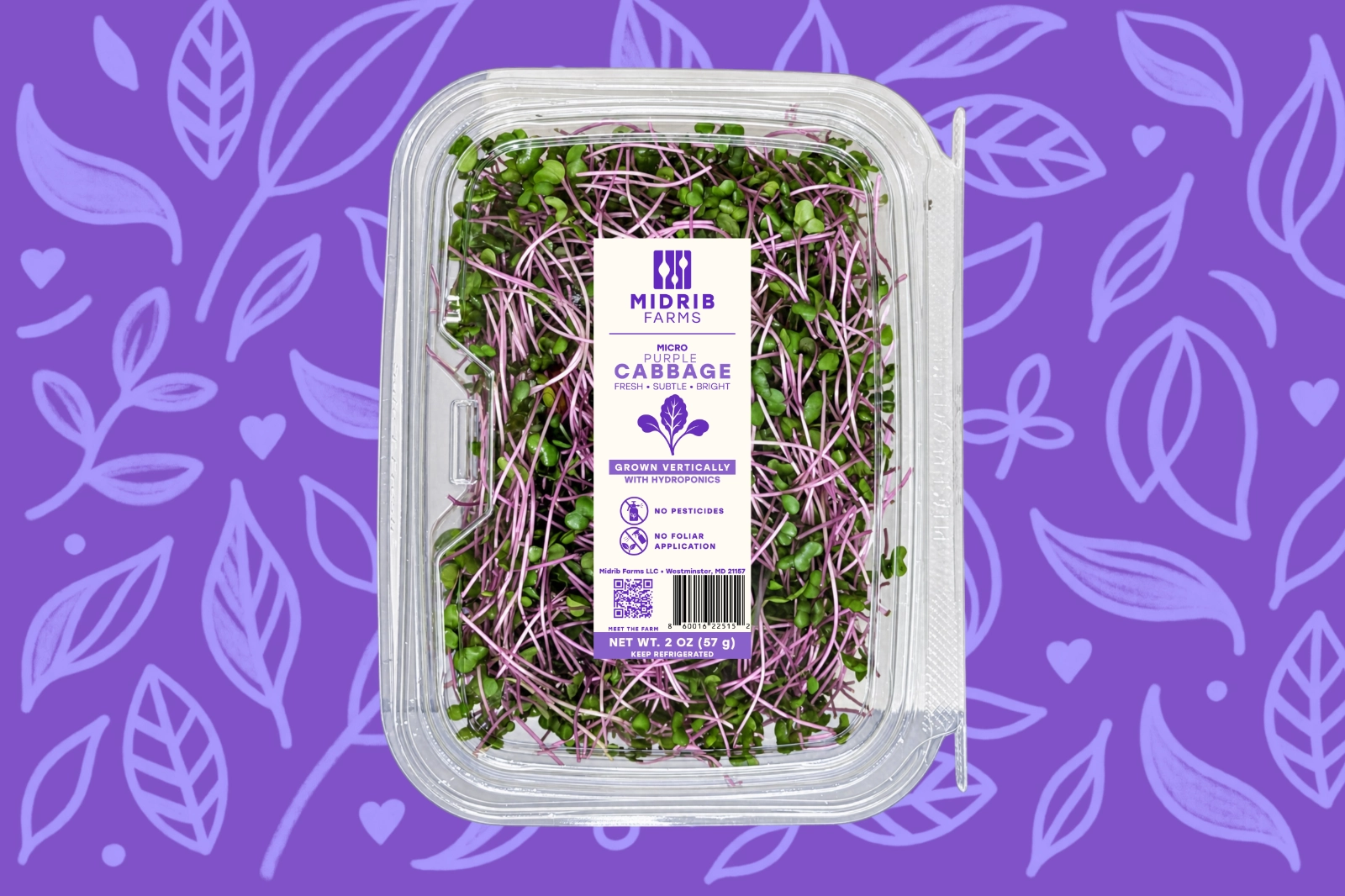 purple-cabbage-microgreens-indoor-vertically-grown-2-oz-package