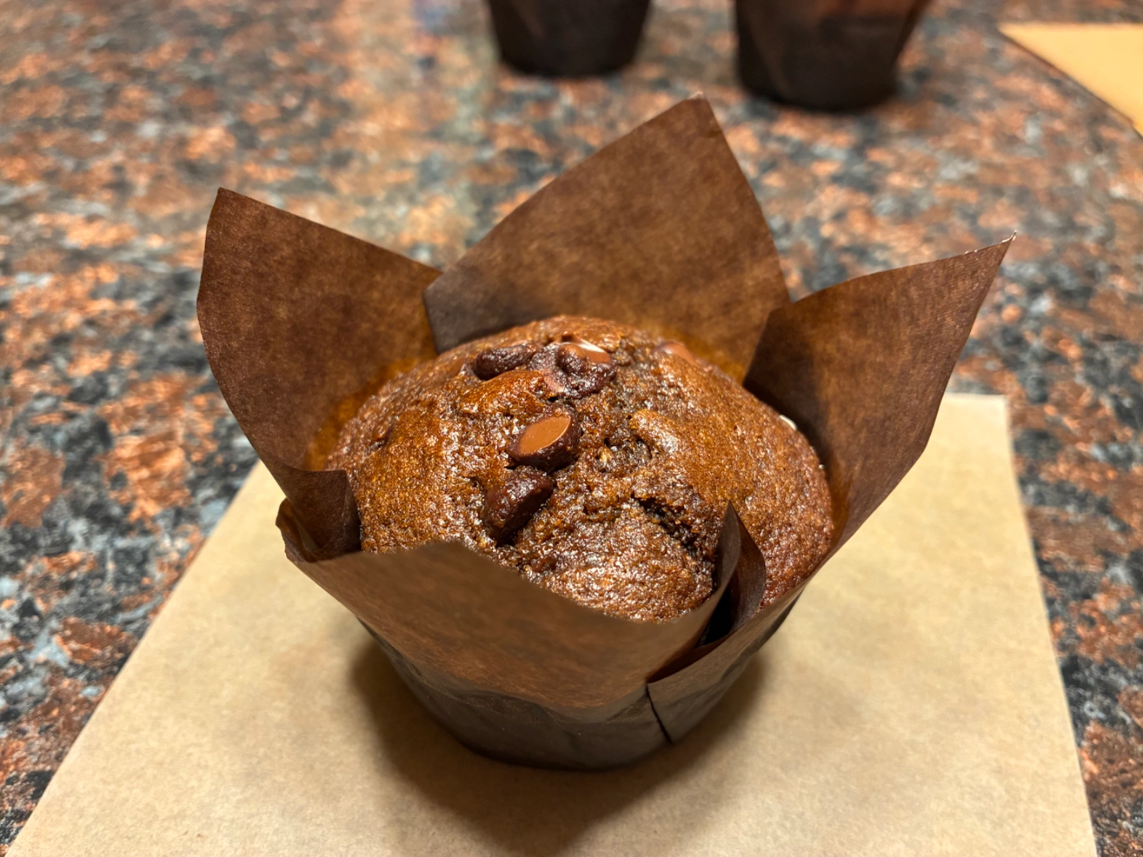 fresh-milled-whole-grain-muffins-1-muffin