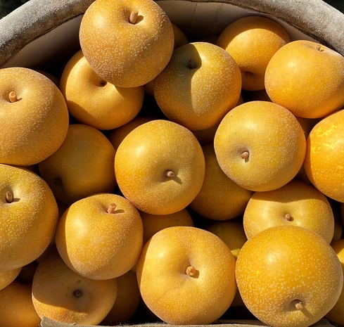 asian-pears-2-lbs-3