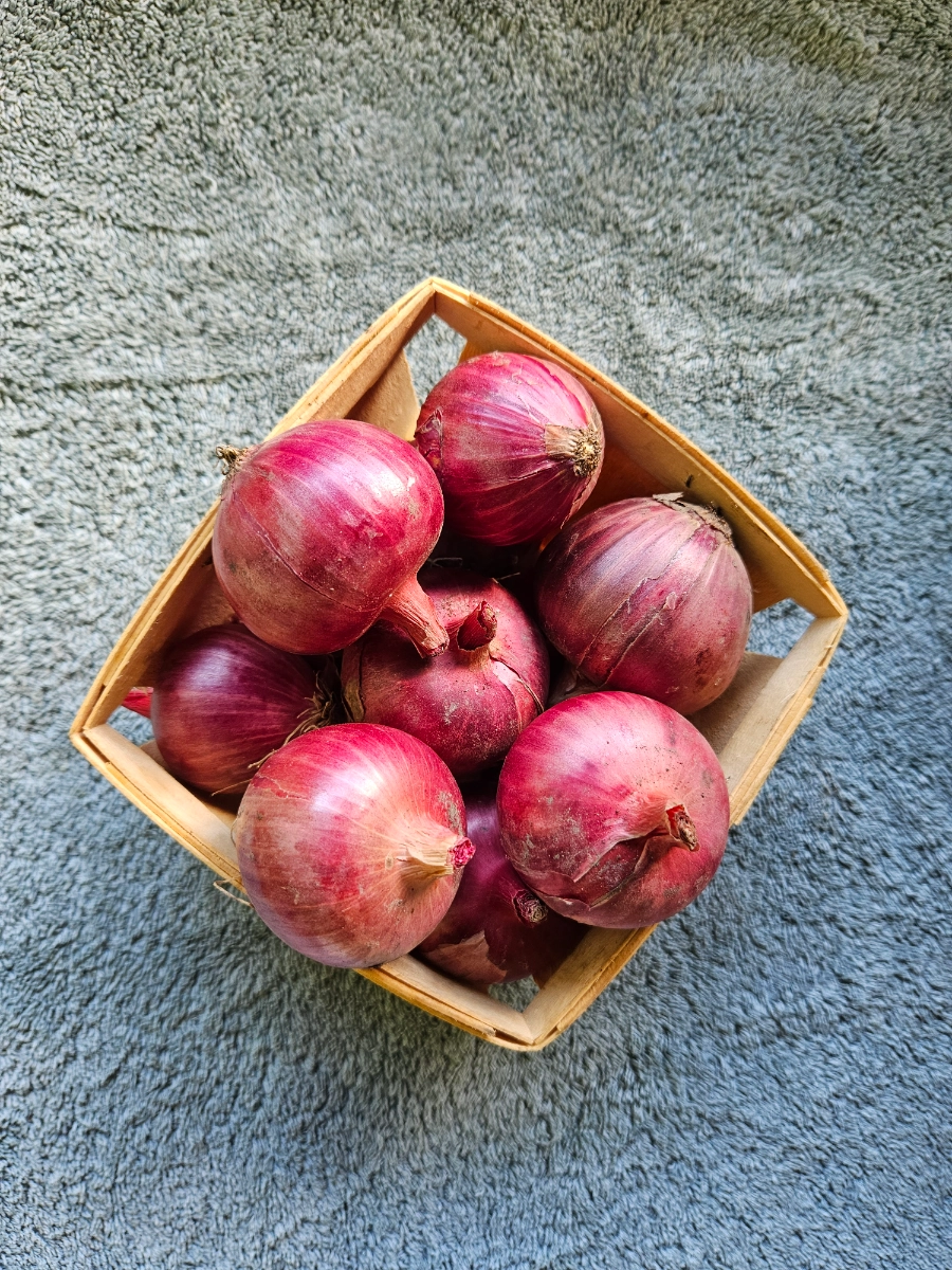 red-onions-1-5