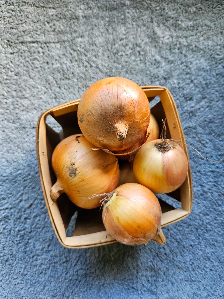 yellow-onions-1-2