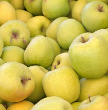 crispin-apples-2-lbs