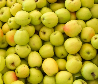 golden-delicious-apples-2-lbs