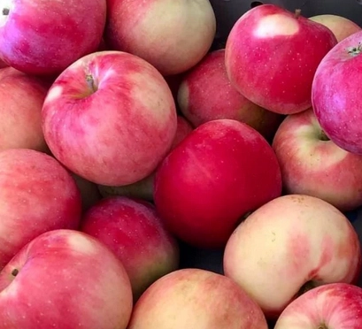 apples-gala-3-lbs-approx