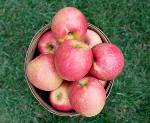 sweet-maia-apples-2-lbs