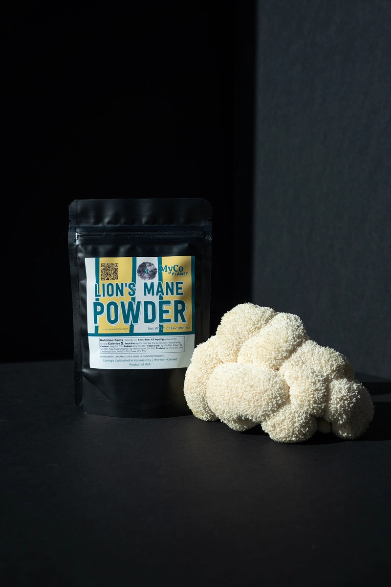 lions-mane-mushroom-powder-2