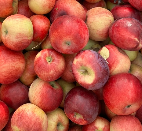 cortland-apples-2-lbs
