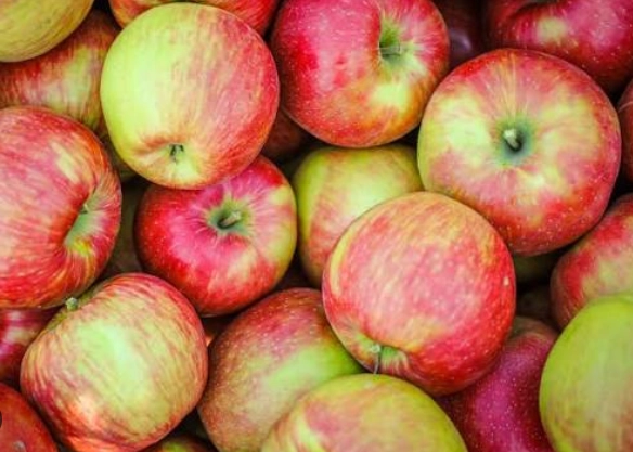 organic-honeycrisp-apples-2-lbs