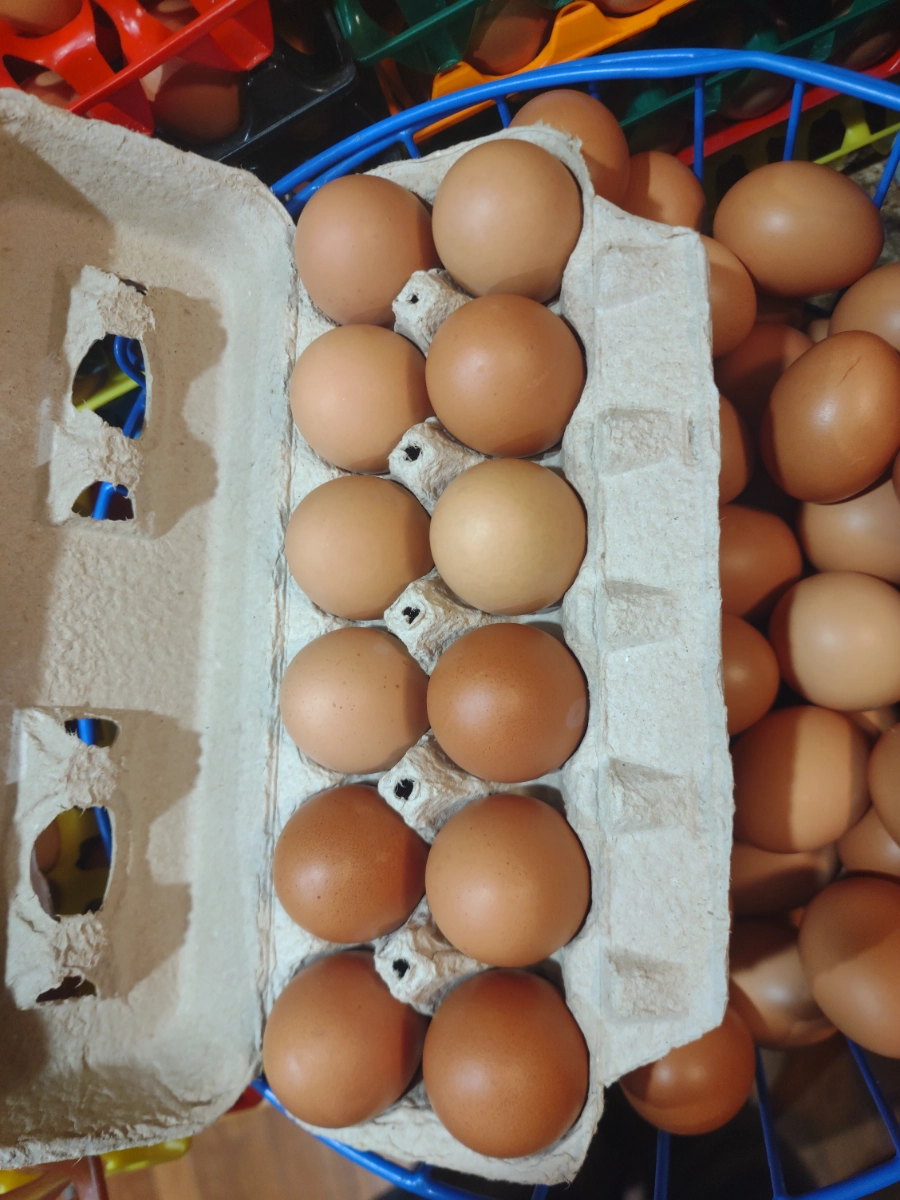 dozen-large-eggs-2