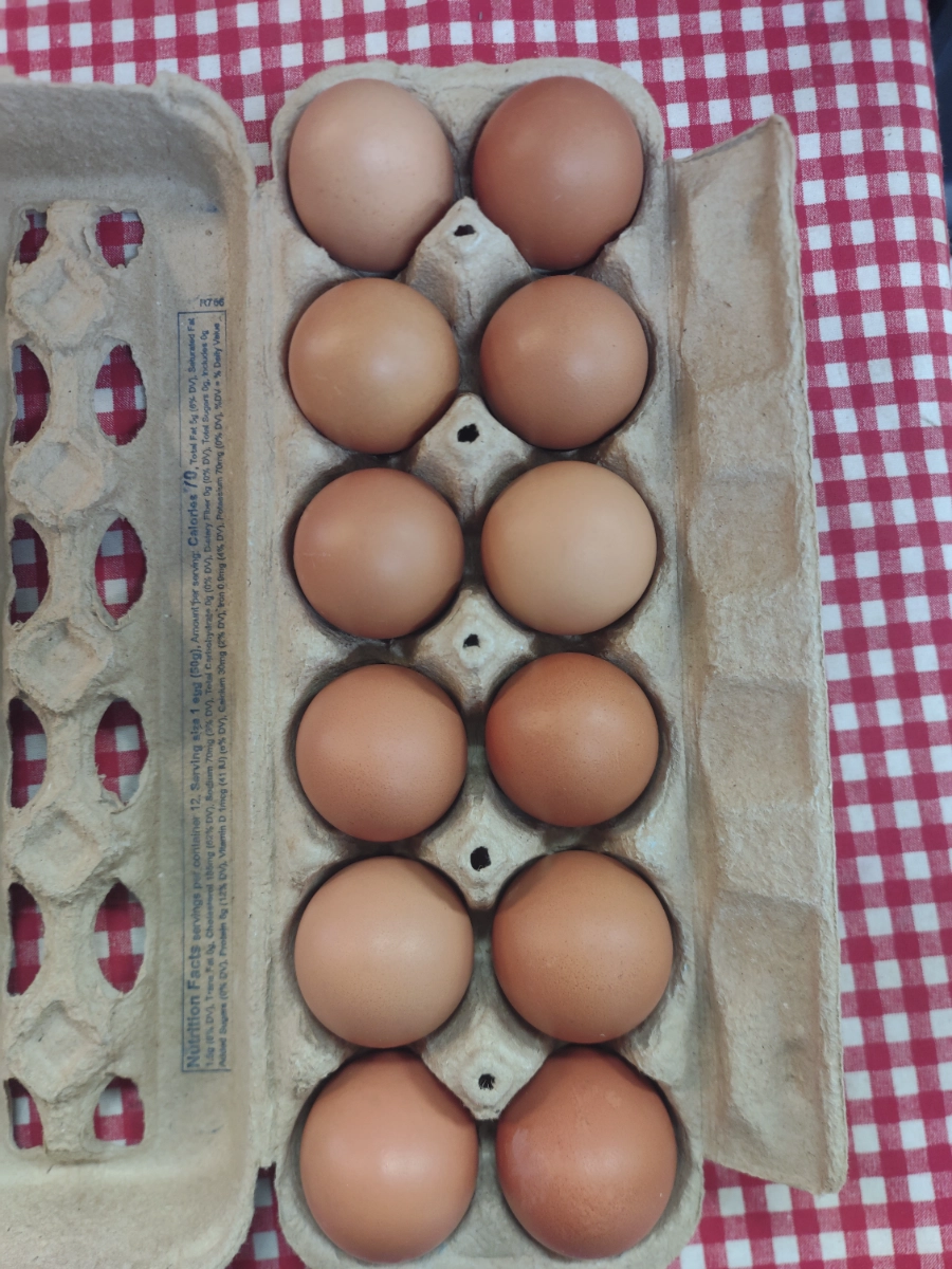 dozen-medium-eggs