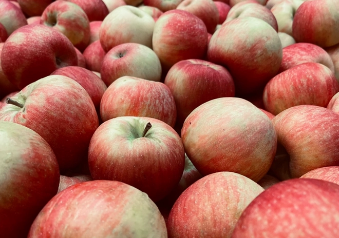 evercrisp-apples-2-lbs