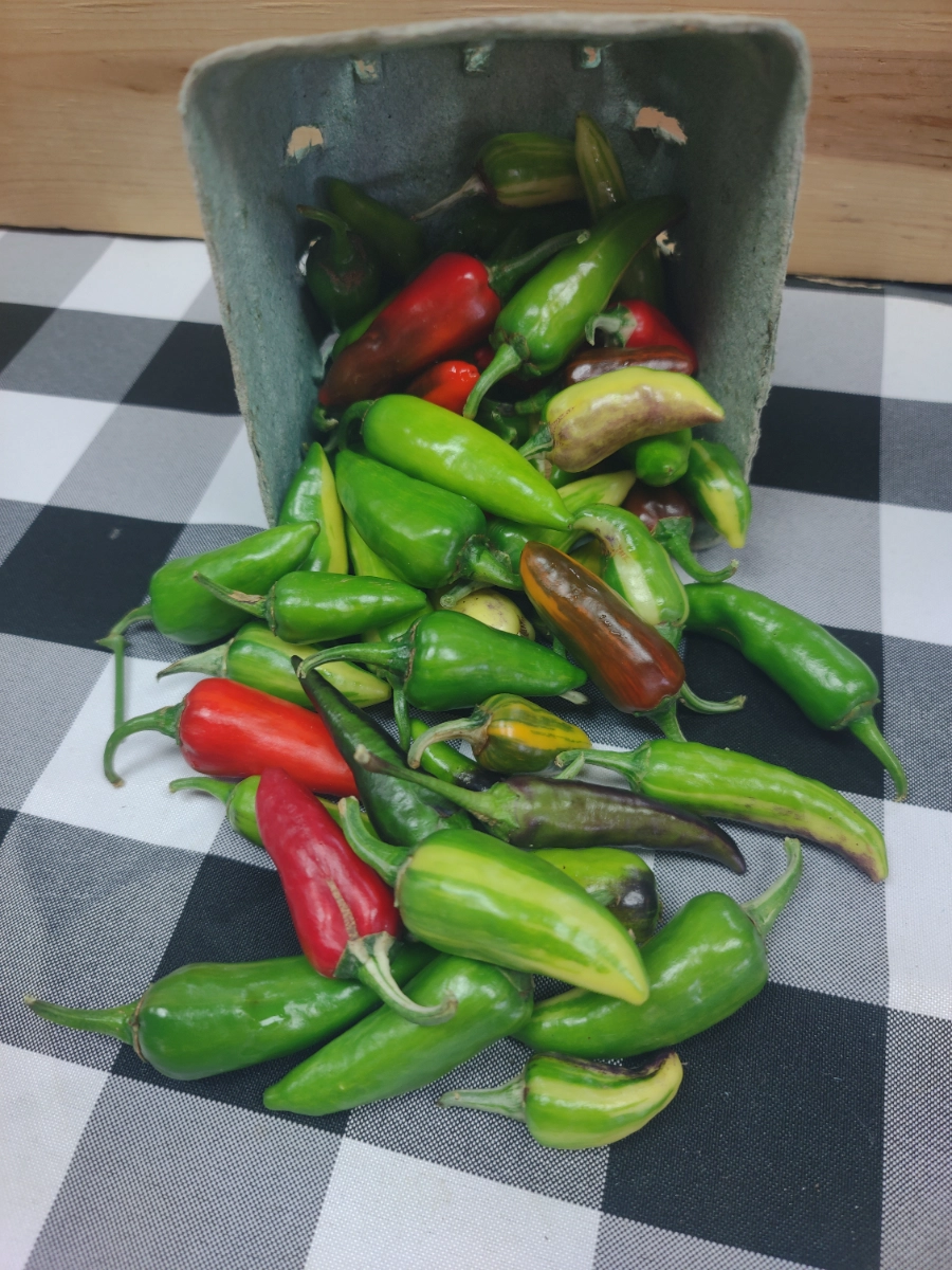 level-pint-of-fish-peppers-hot-3