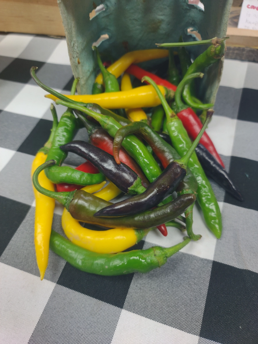 colored-cayenne-peppers